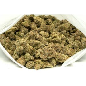 gelato 33 strain
