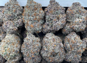 Purple Galore