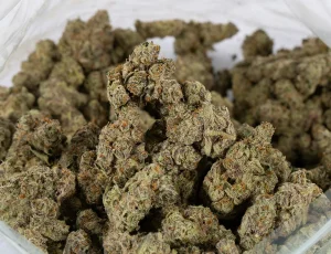 Health Benefits of Cannabis