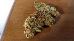 What is Gelato Strain