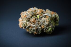 Blue Dream Strain