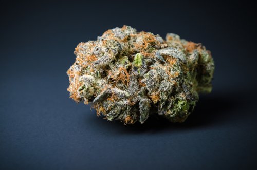 Blue Dream Strain