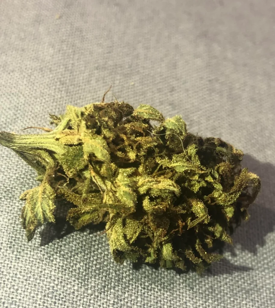 Buy My Weed
